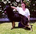 Duke - May 99 - SMALL.jpg (6865 bytes)